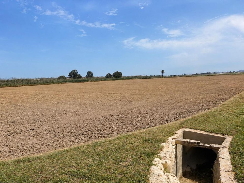Helårsgrund i Dolores, Alicante - foto 2