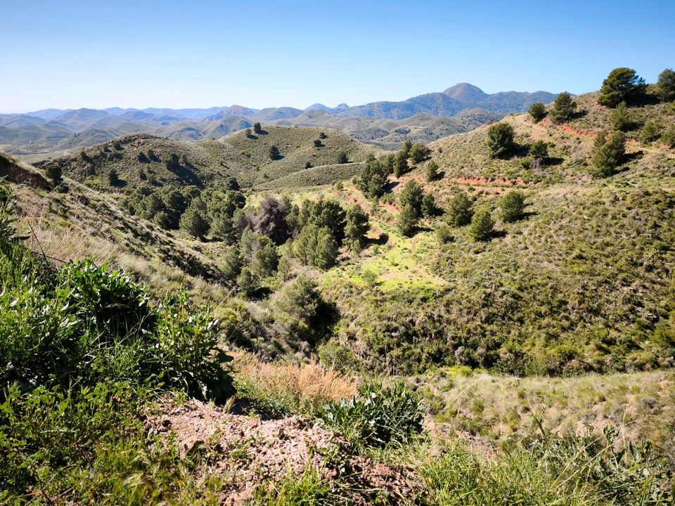 Terra a Lorca, Murcia - foto 4