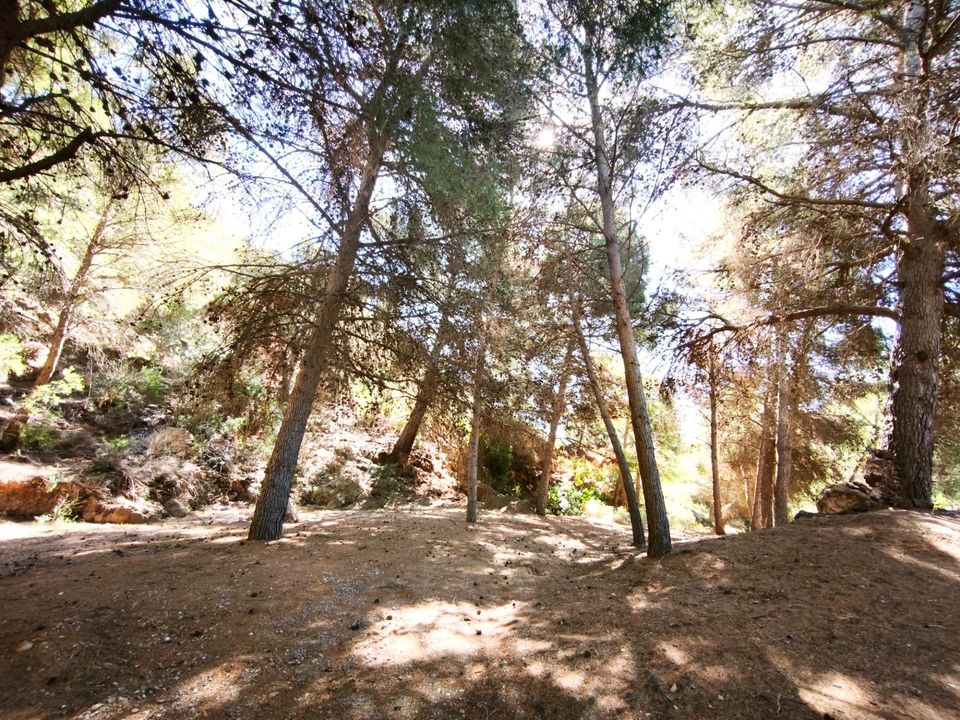 Terra a Lorca, Murcia - foto 5