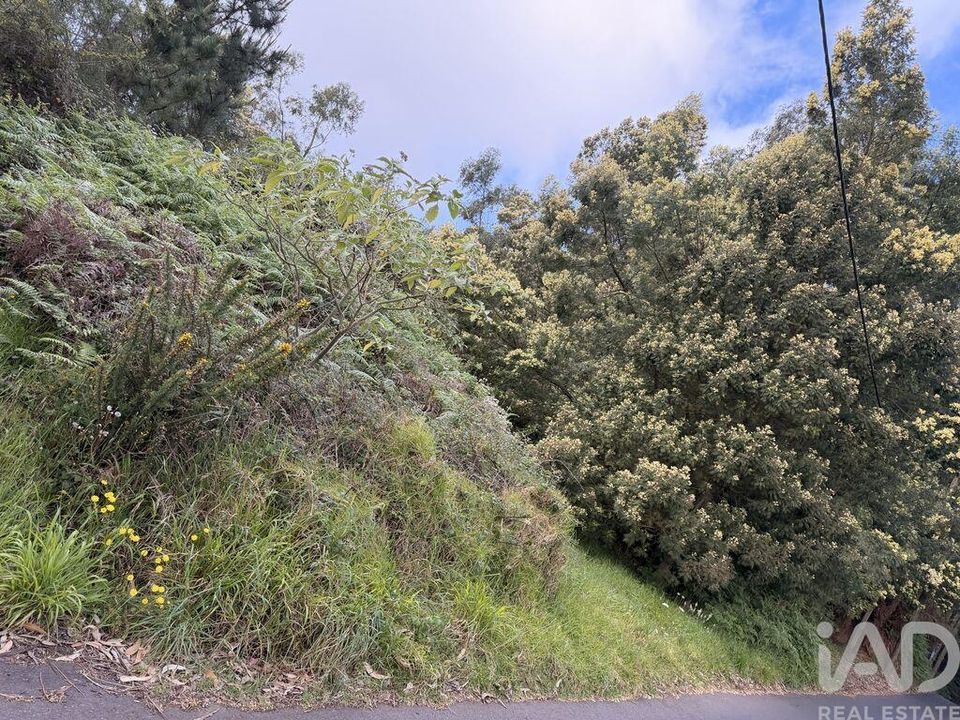 Helårsgrund i Santa Cruz, Madeira - foto 2