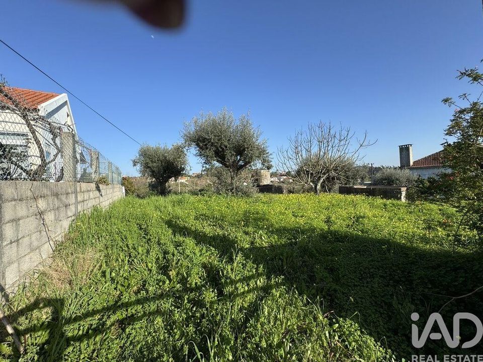 Terra em Tomar, Santarem - foto 1
