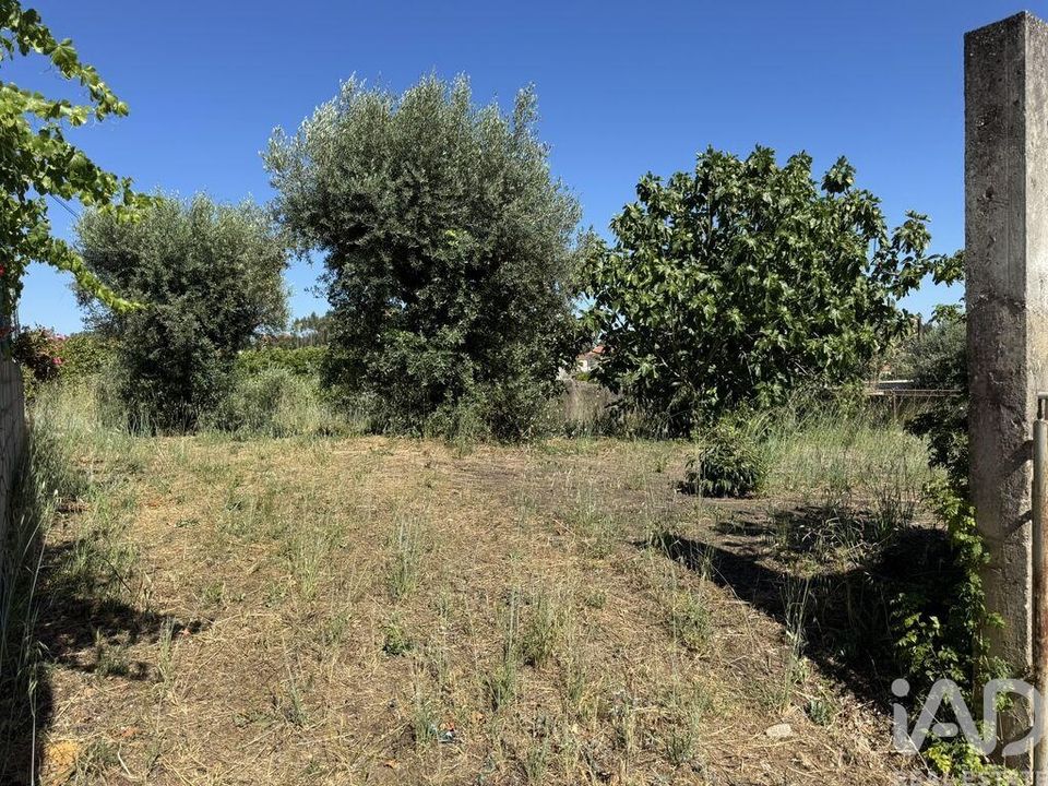 Terra em Tomar, Santarem - foto 2
