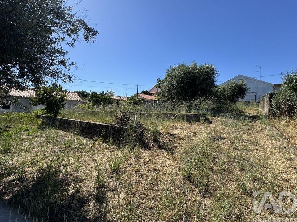 Terra em Tomar, Santarem - foto 3