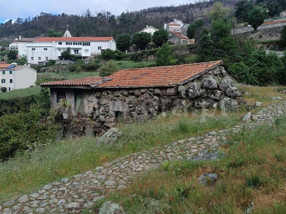 Finca i Seia, Guarda - bilde 1