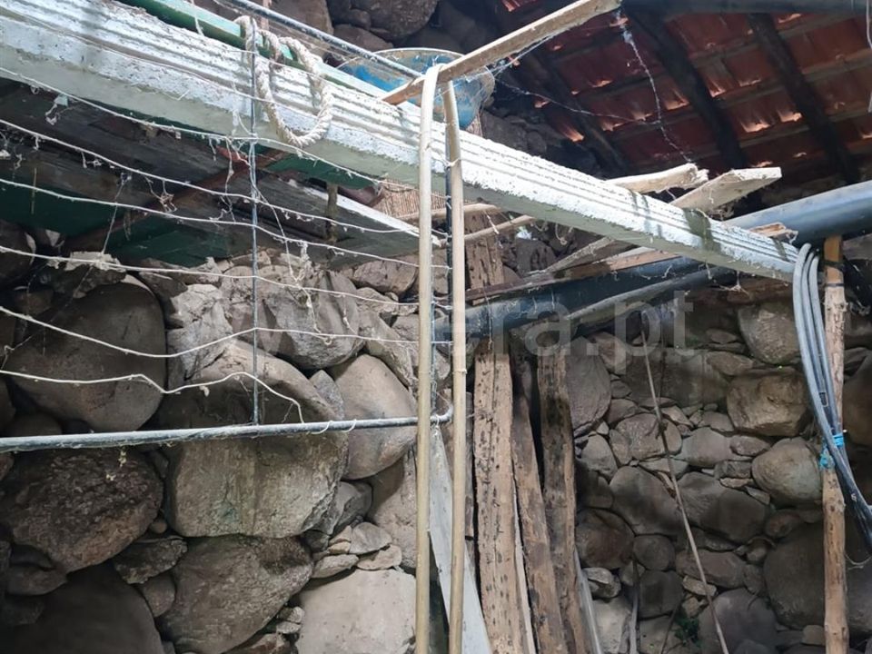 Finca i Seia, Guarda - bilde 5