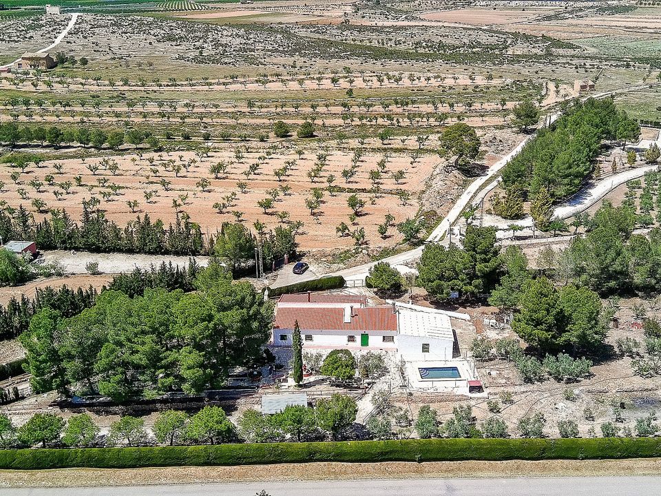 Landejendom i Pinoso, Alicante - foto 1