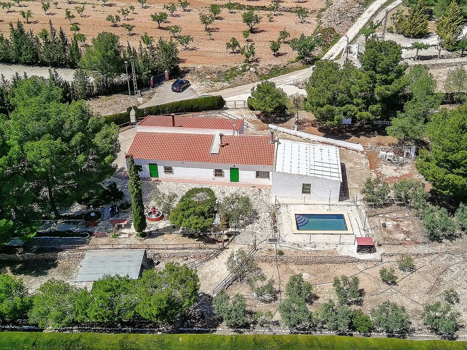Landejendom i Pinoso, Alicante - foto 2