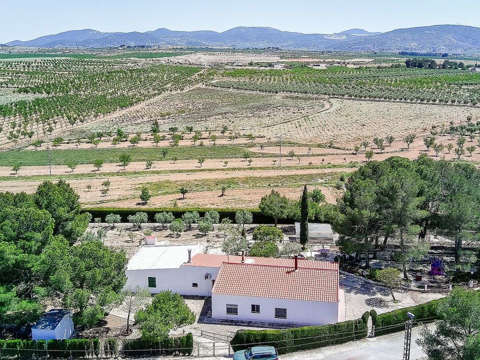 Landejendom i Pinoso, Alicante - foto 4