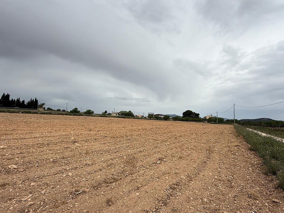 Helårsgrund i Culebron, Alicante - foto 3