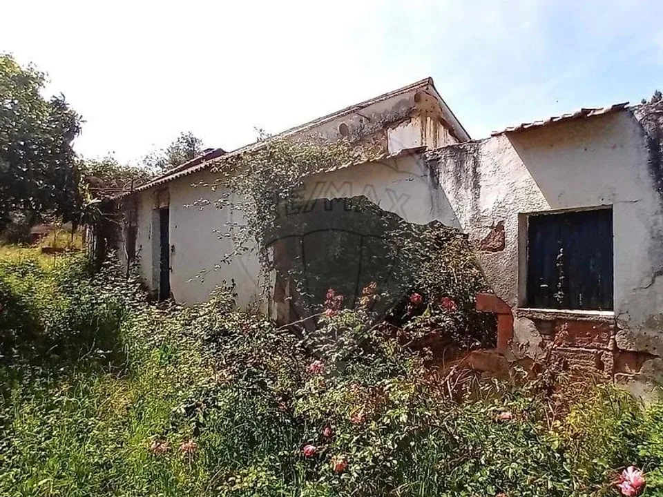 Farm hus i Coruche, Santarem - foto 1