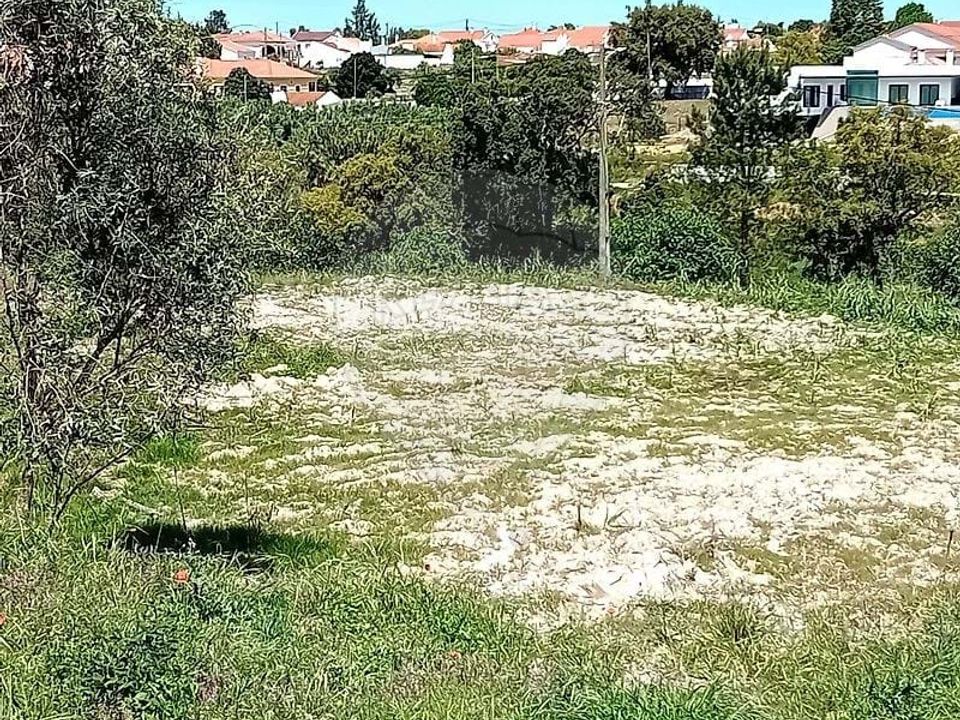 Farm hus i Coruche, Santarem - foto 4