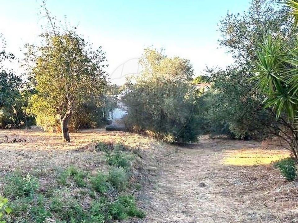 Farm hus i Coruche, Santarem - foto 5