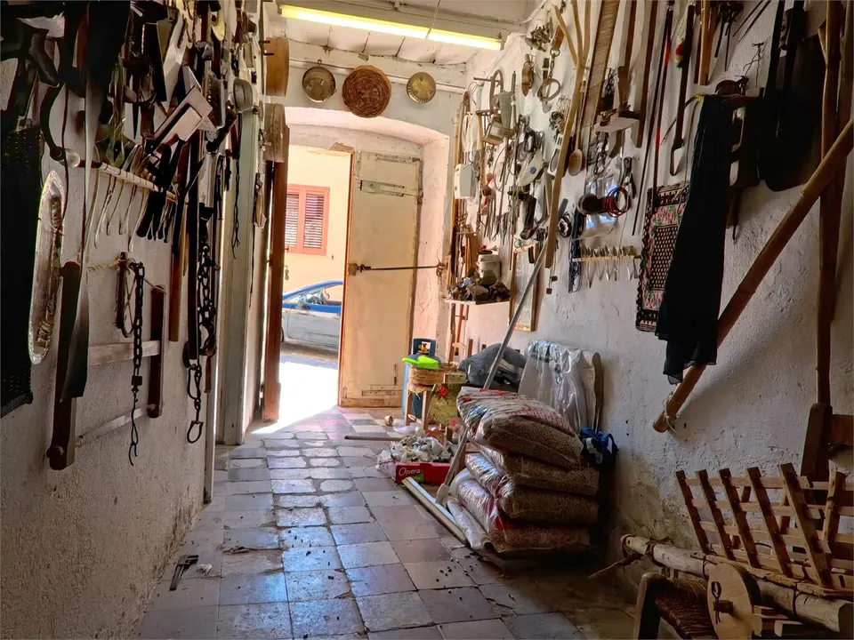Villa i Putumajore/Pozzomaggiore, Sassari - foto 3