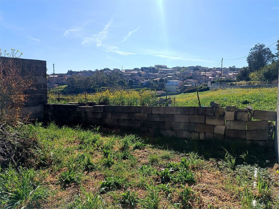 Villa i Putumajore/Pozzomaggiore, Sassari - foto 5