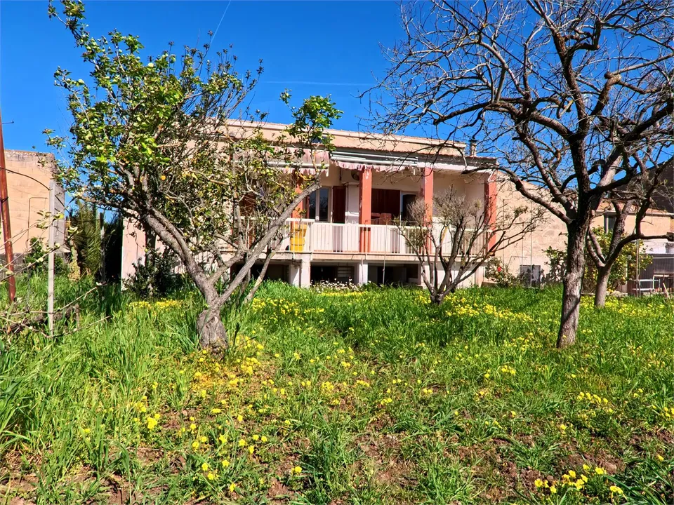 Villa i Putumajore/Pozzomaggiore, Sassari - foto 1