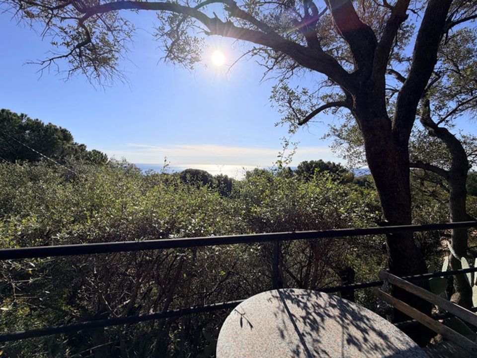 Villa i Antibes, Alpes-Maritimes - foto 2