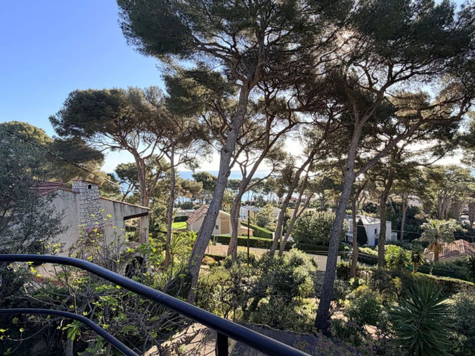 Villa i Antibes, Alpes-Maritimes - foto 3