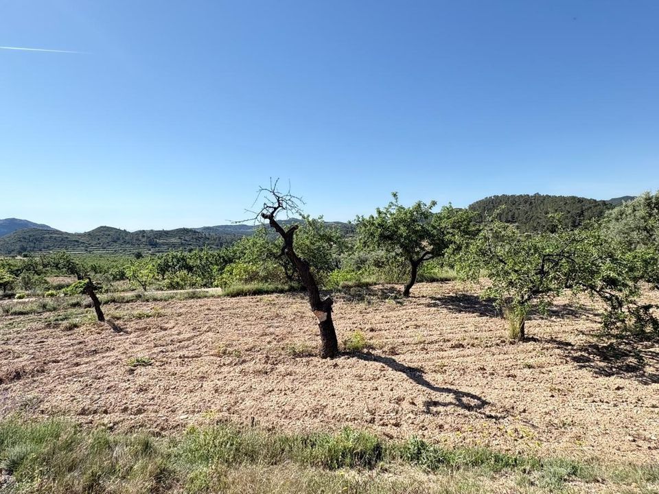 Landejendom i Relleu, Alicante - foto 4
