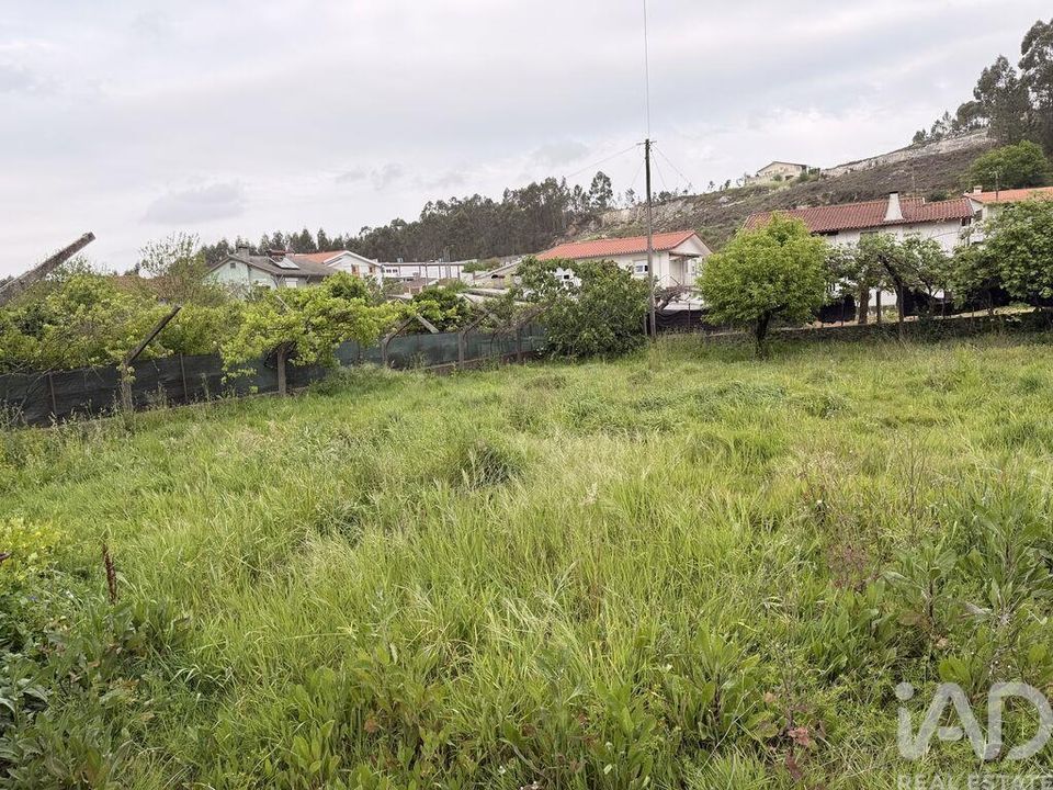 Terreno en Oliveira de Azemeis, Aveiro - foto 1