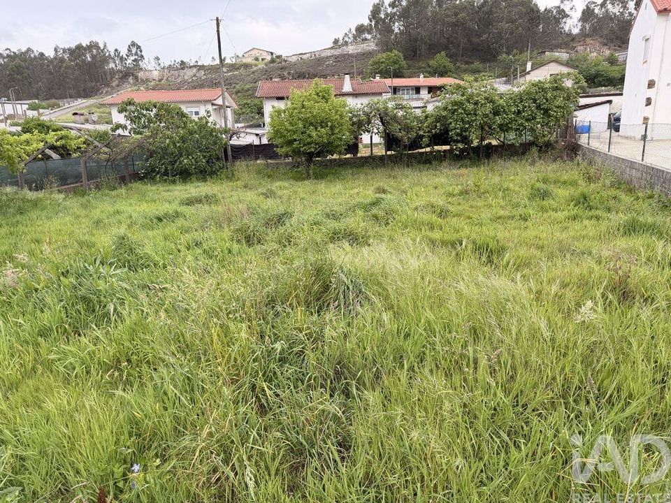 Terreno en Oliveira de Azemeis, Aveiro - foto 4