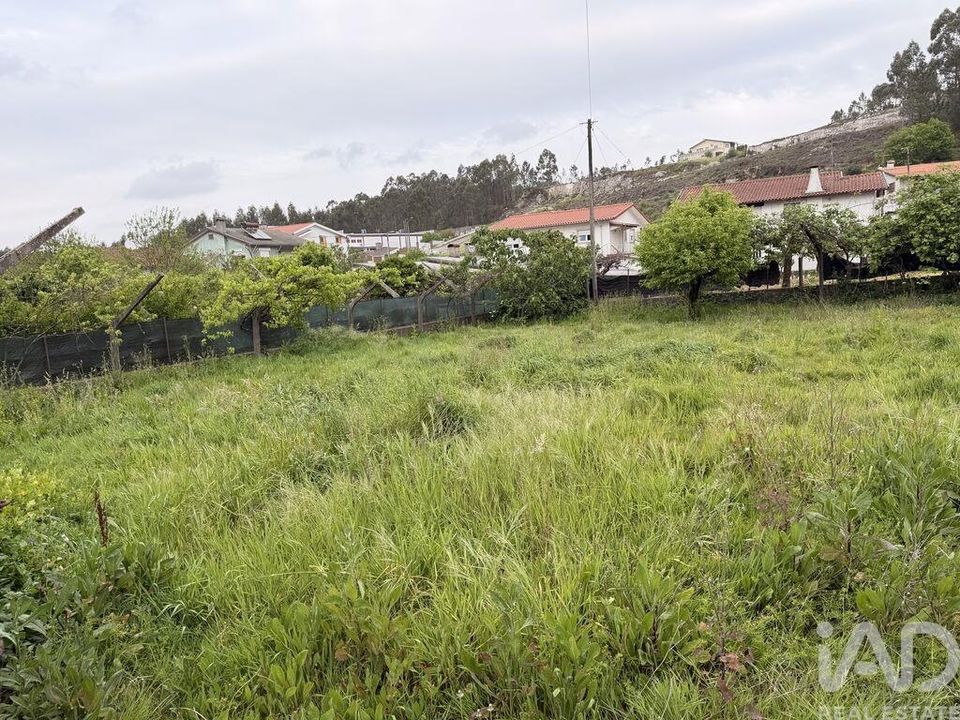 Terreno en Oliveira de Azemeis, Aveiro - foto 5