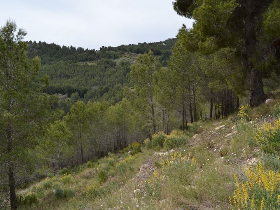 Terra a Guadalest, Alicante - foto 2