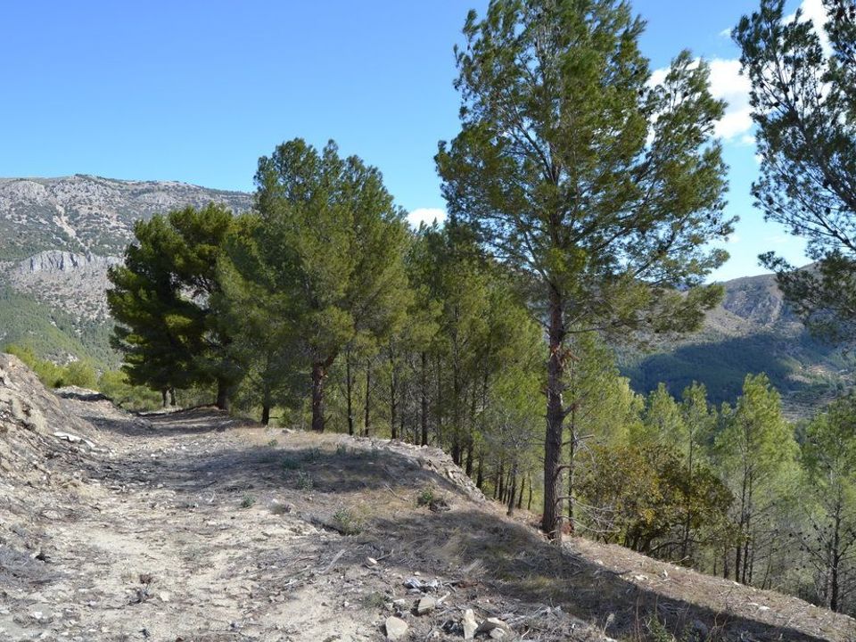 Terra a Guadalest, Alicante - foto 3