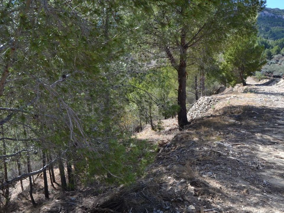 Terra a Guadalest, Alicante - foto 4