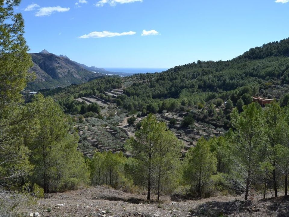 Terra a Guadalest, Alicante - foto 5