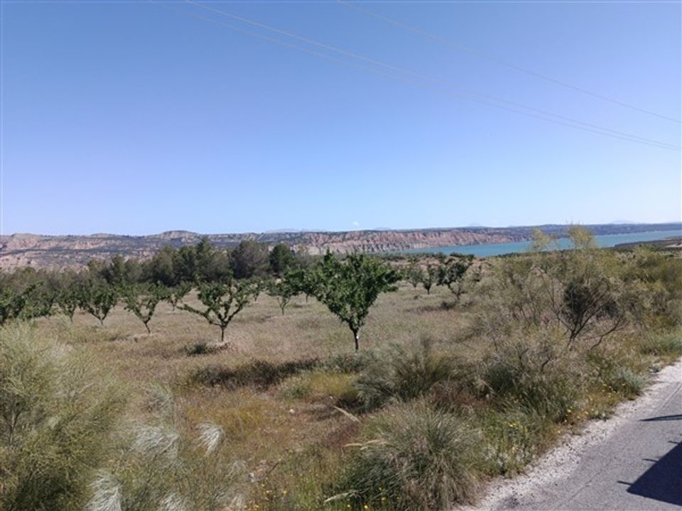 Finca i Freila, Granada - foto 4