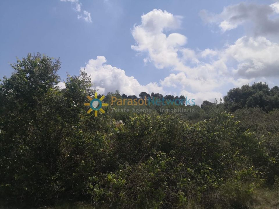 Terra a Castello De Rugat, Valencia - foto 5