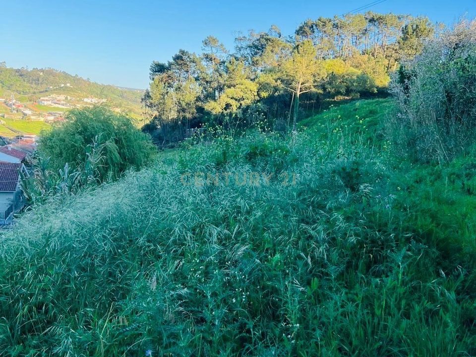 Helårsgrund i Alcobaca, Leiria - foto 3