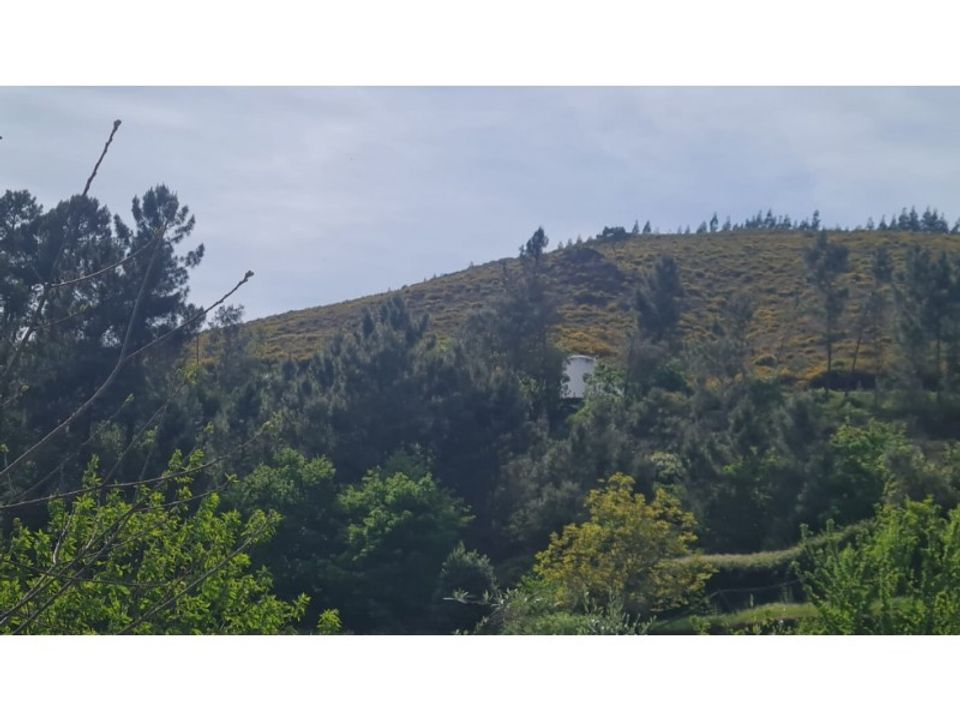 Helårsgrund i Gestaco, Porto - foto 5