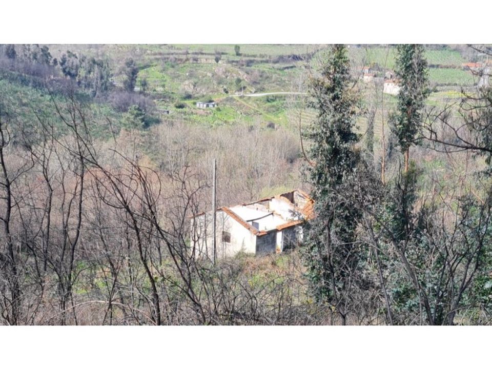 Landejendom i Frende, Porto - foto 1