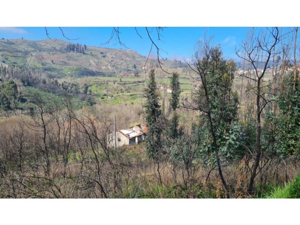 Landejendom i Frende, Porto - foto 3