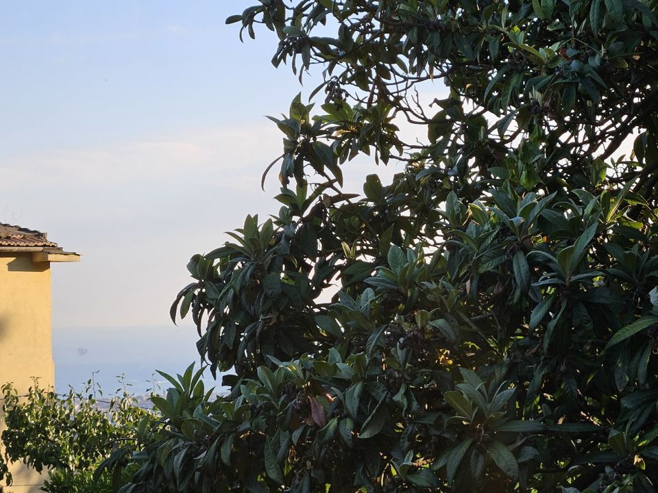 Villa i Salerno, Salerno - foto 5
