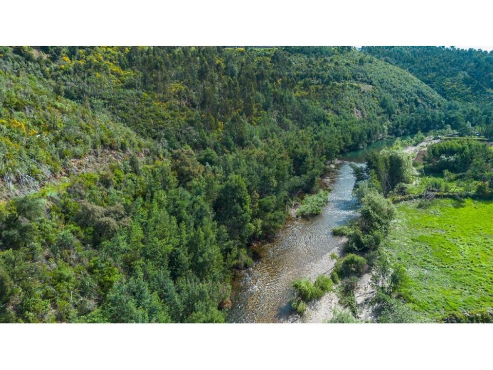 Farm i Santo Andre, Setubal - foto 3