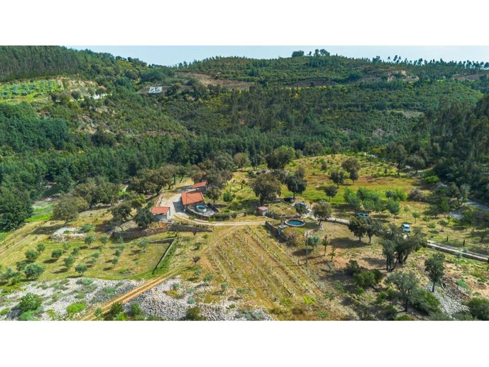 Farm i Santo Andre, Setubal - foto 4