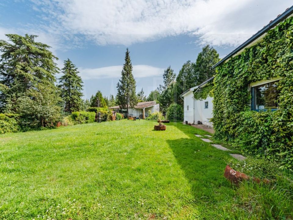 Farm i Arganil, Coimbra - foto 2