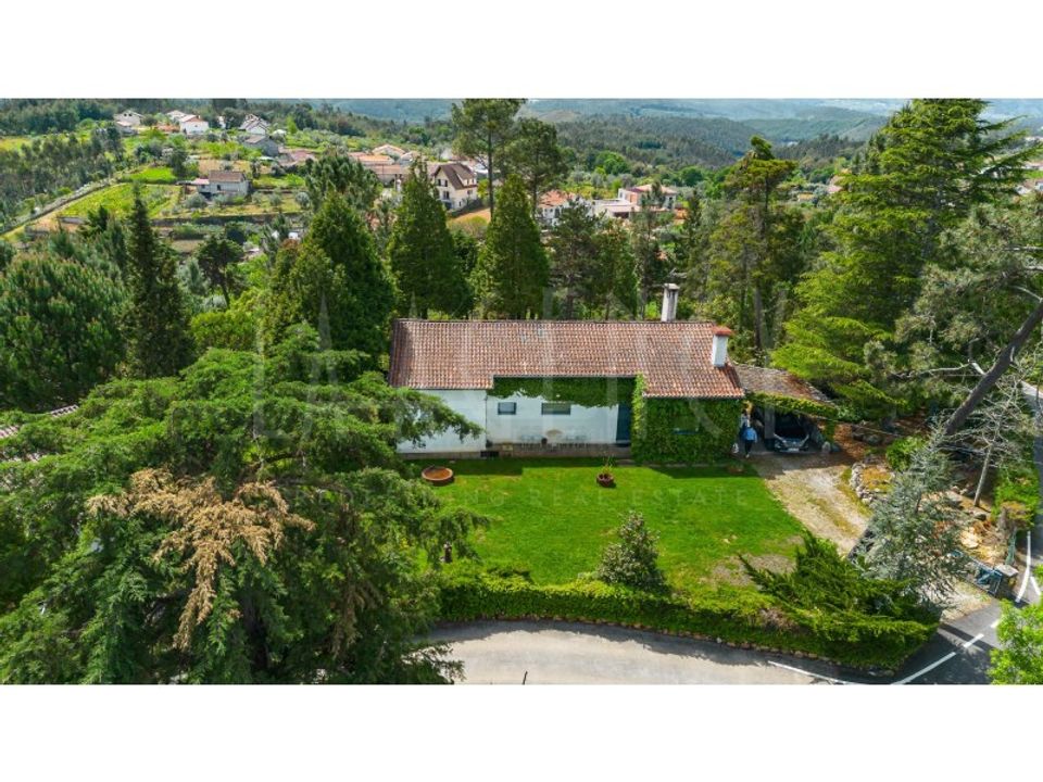 Farm i Arganil, Coimbra - foto 4
