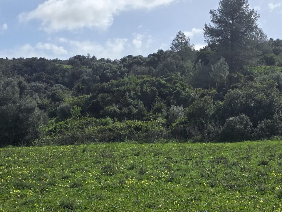 Helårsgrund i Odiaxere, Faro - foto 3