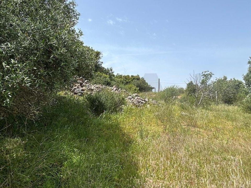 Helårsgrund i Carvoeiro, Faro - foto 4