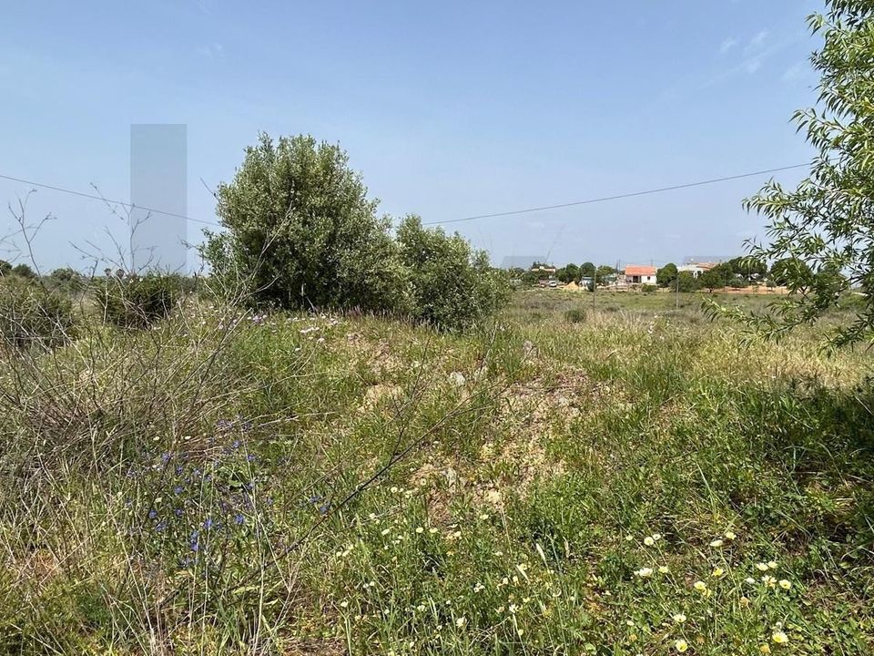 Helårsgrund i Carvoeiro, Faro - foto 5