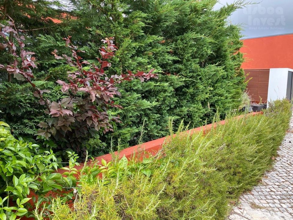 Villa i Vau, Leiria - foto 3