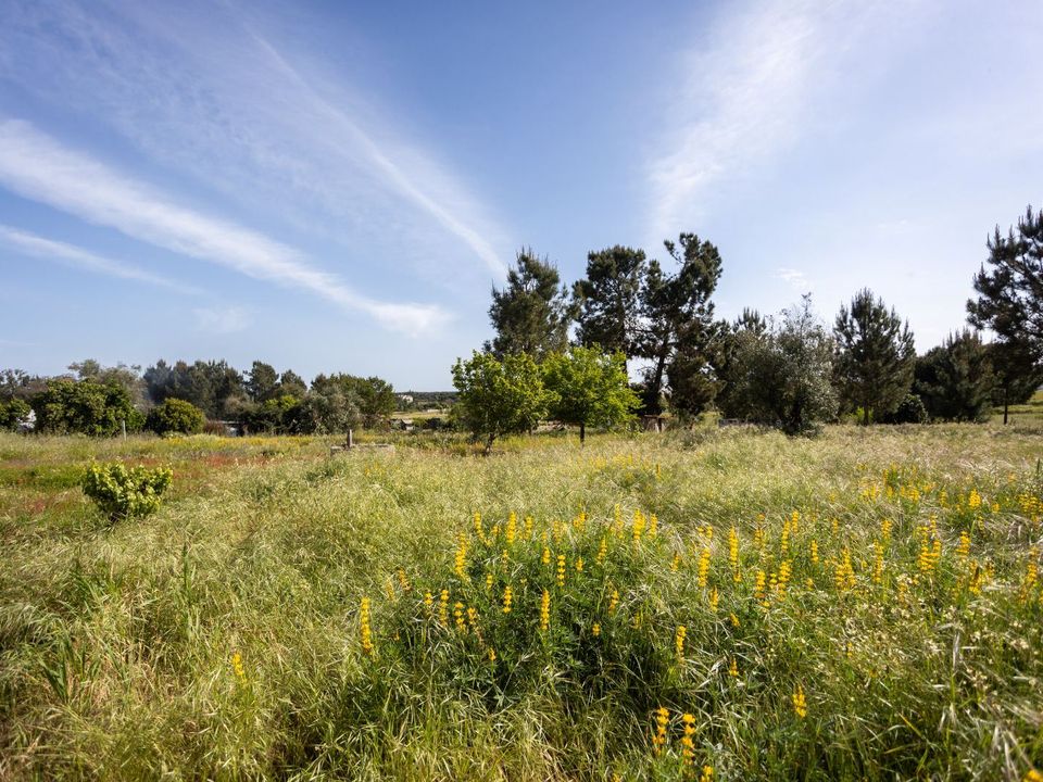 Byhus i Coruche, Santarem - foto 3