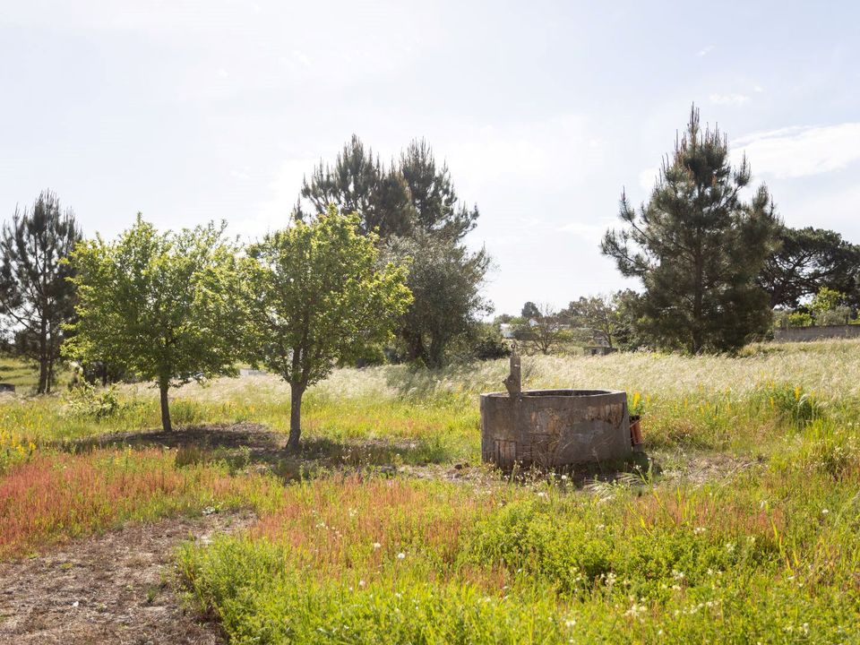 Byhus i Coruche, Santarem - foto 5