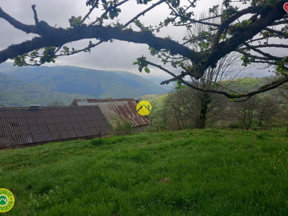 Farm hus i Peyrusse, Cantal - foto 3