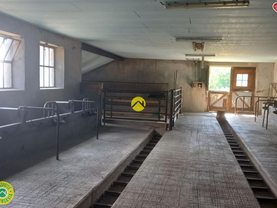 Farm hus i Peyrusse, Cantal - foto 4