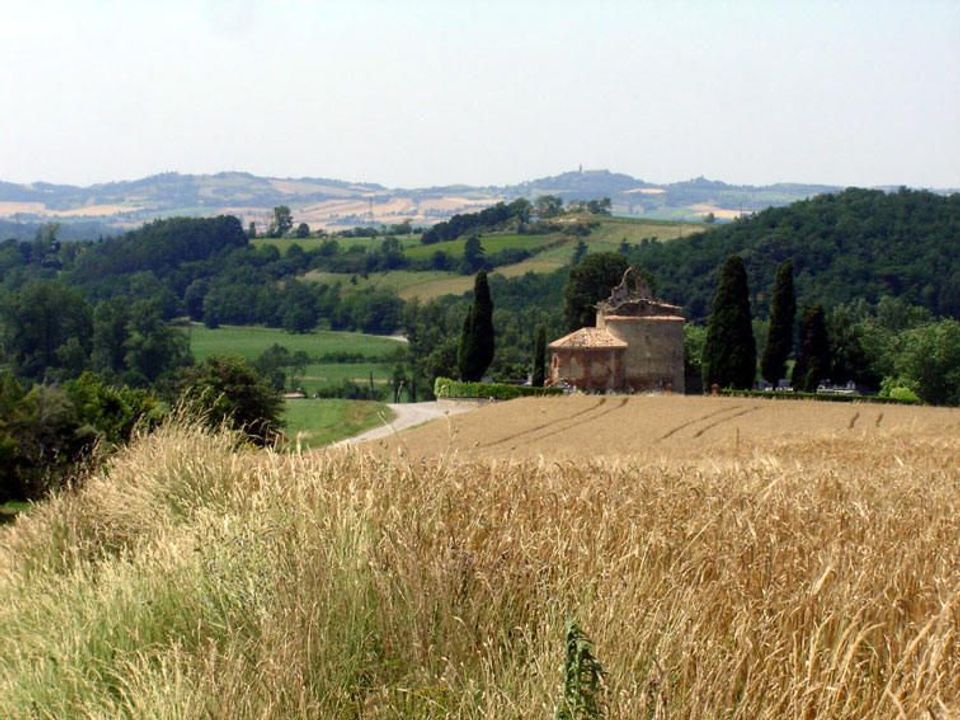 Helårsgrund i Vaudreuille, Haute-Garonne - foto 3
