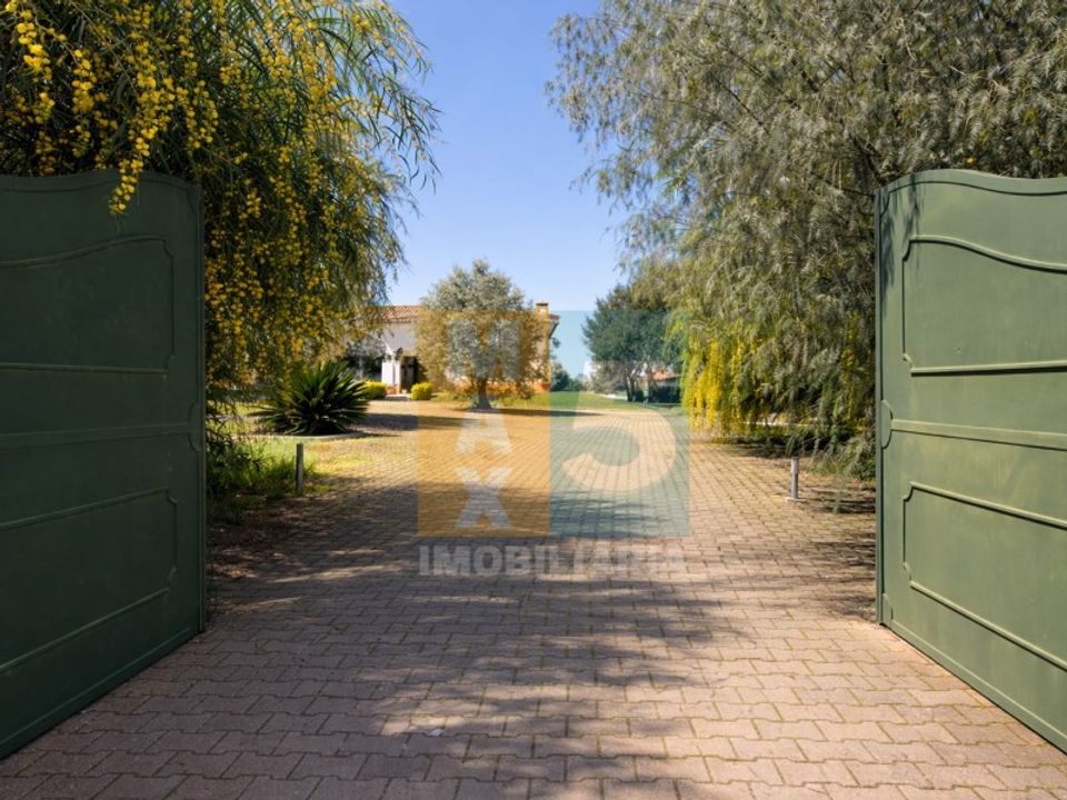 Farm i Coruche, Santarem - foto 4